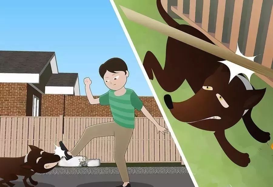 在外遇到恶犬攻击怎么办,如果被恶犬攻击怎么办