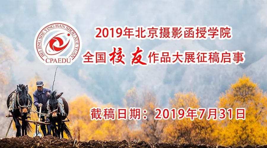 广角镜头怎么玩出新花样,最佳的广角镜头