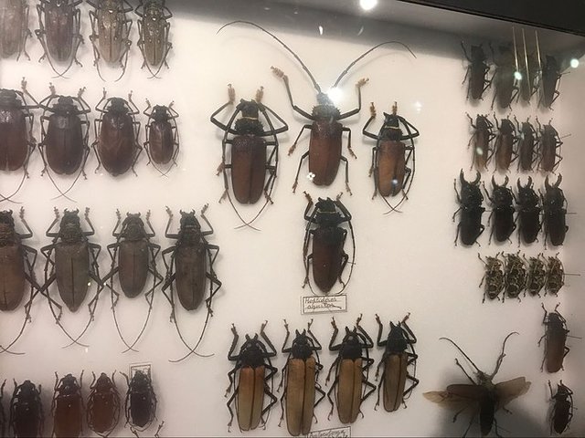 超美媳妇儿与你逃之夭夭大头强小蛮夭毛里求斯蜜月盛典~