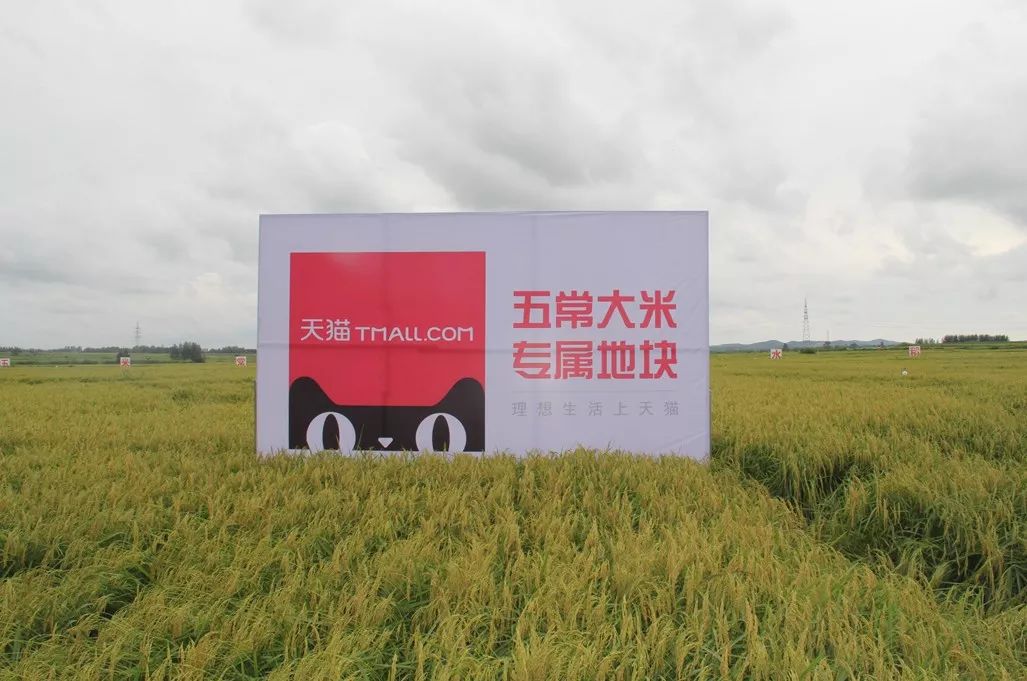 京东黑科技保真,阿里巴巴五常大米是正品吗