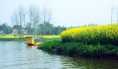 2019年9月份重庆免费活动,2019重庆新打卡地