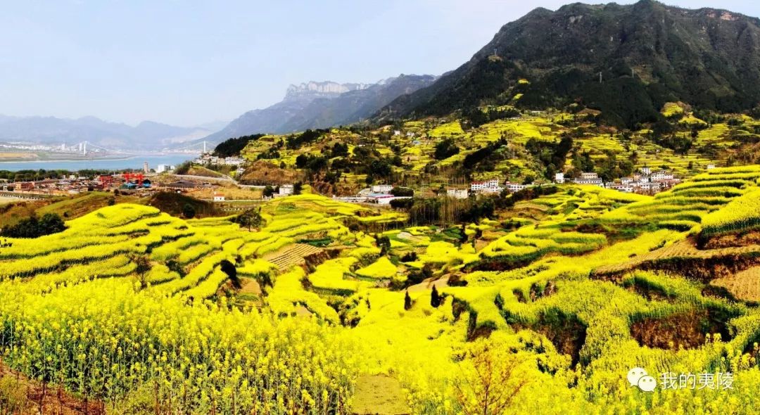 夷陵美|冬去春来~