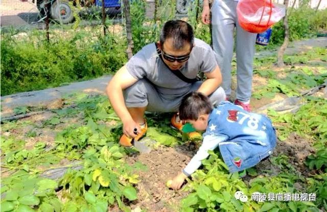 南陵县乡村旅游攻略,南陵县十大旅游景点有哪些