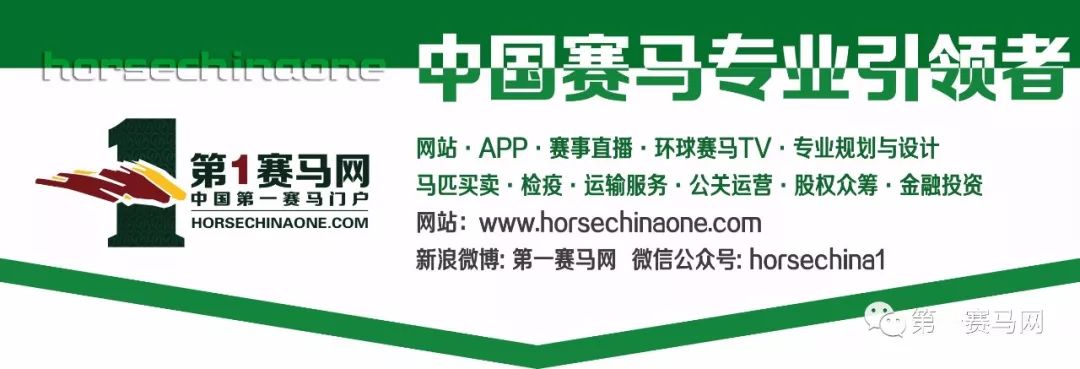 怎样的赛马日，可以吸引六大洲十四地区一百一十一匹星级赛驹报名！