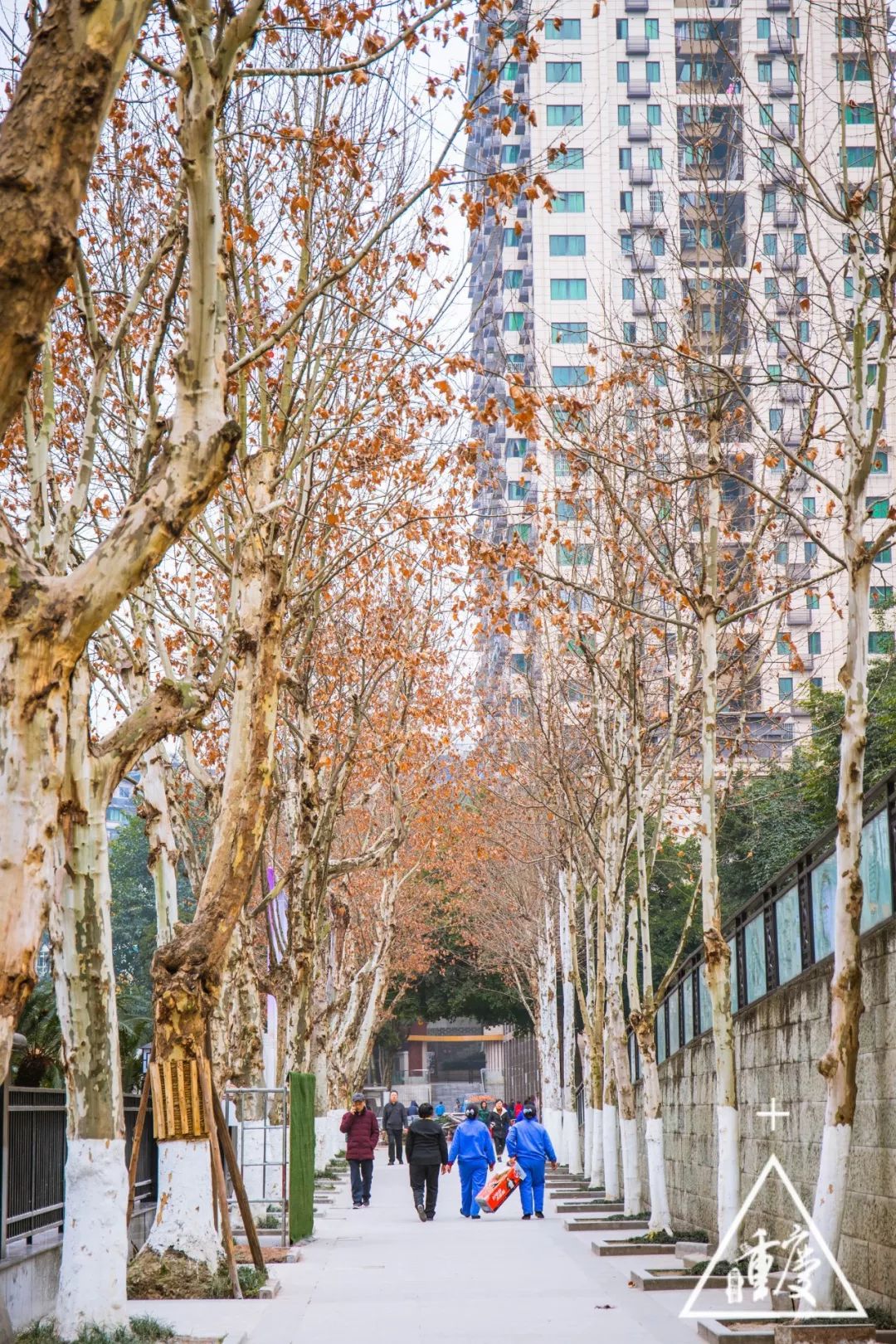 除了学霸学渣学神还有什么,巴蜀中学都是学霸