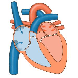 【多图详解】下蹲，最简单实用的锻炼方法