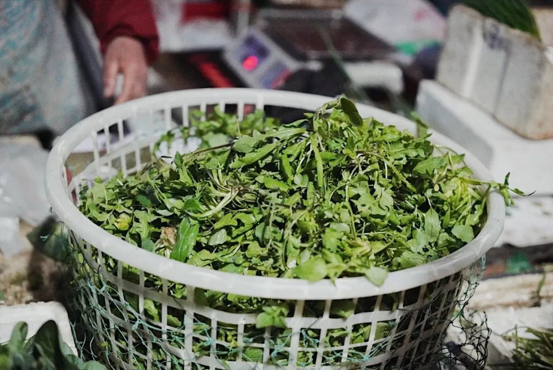 一向以“好吃”出名的凯悦,这次带我把人间三月的春天都吃进了嘴里