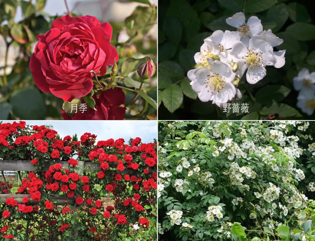 3种方法来辨别真假朋友,三个方面判断骗局