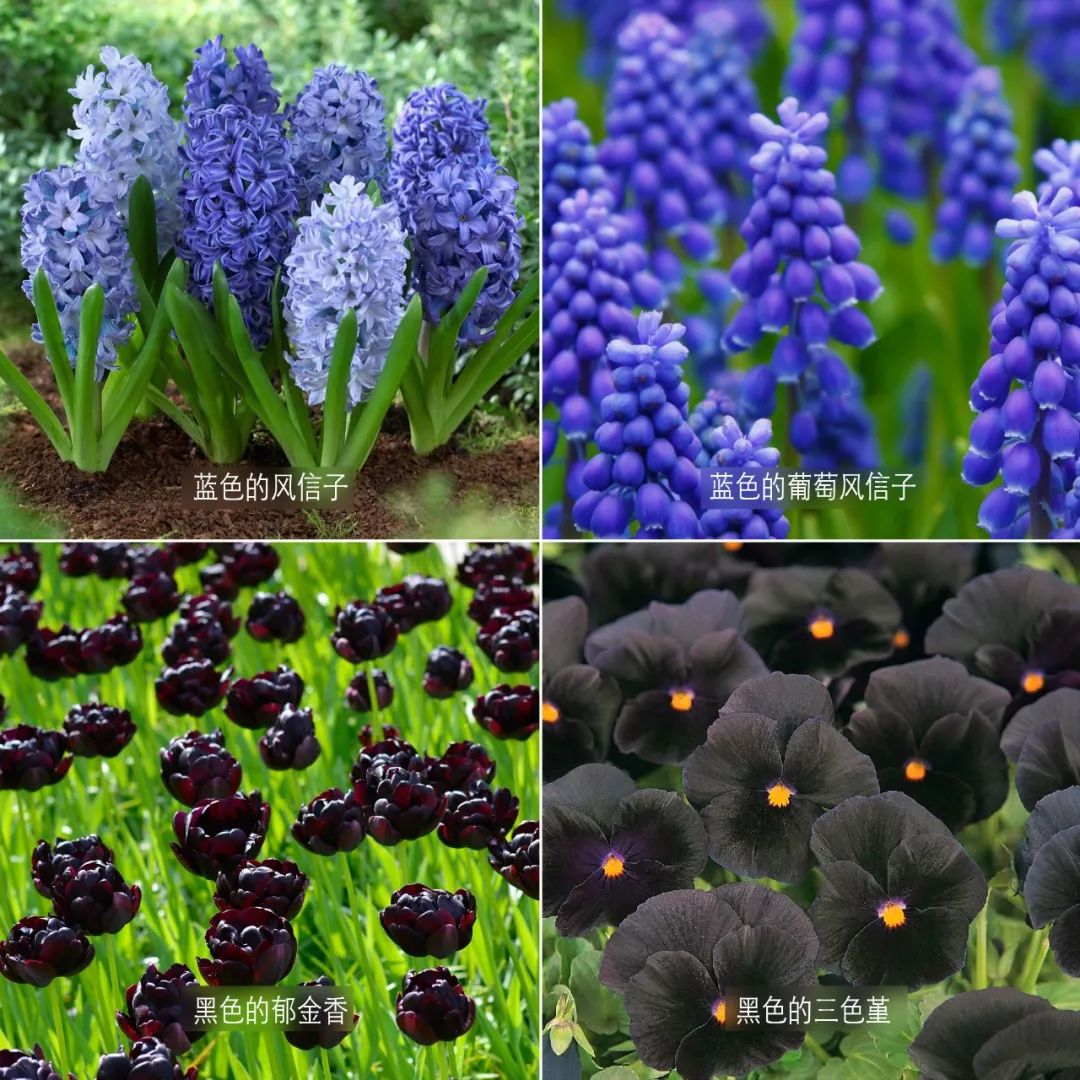 3种方法来辨别真假朋友,三个方面判断骗局