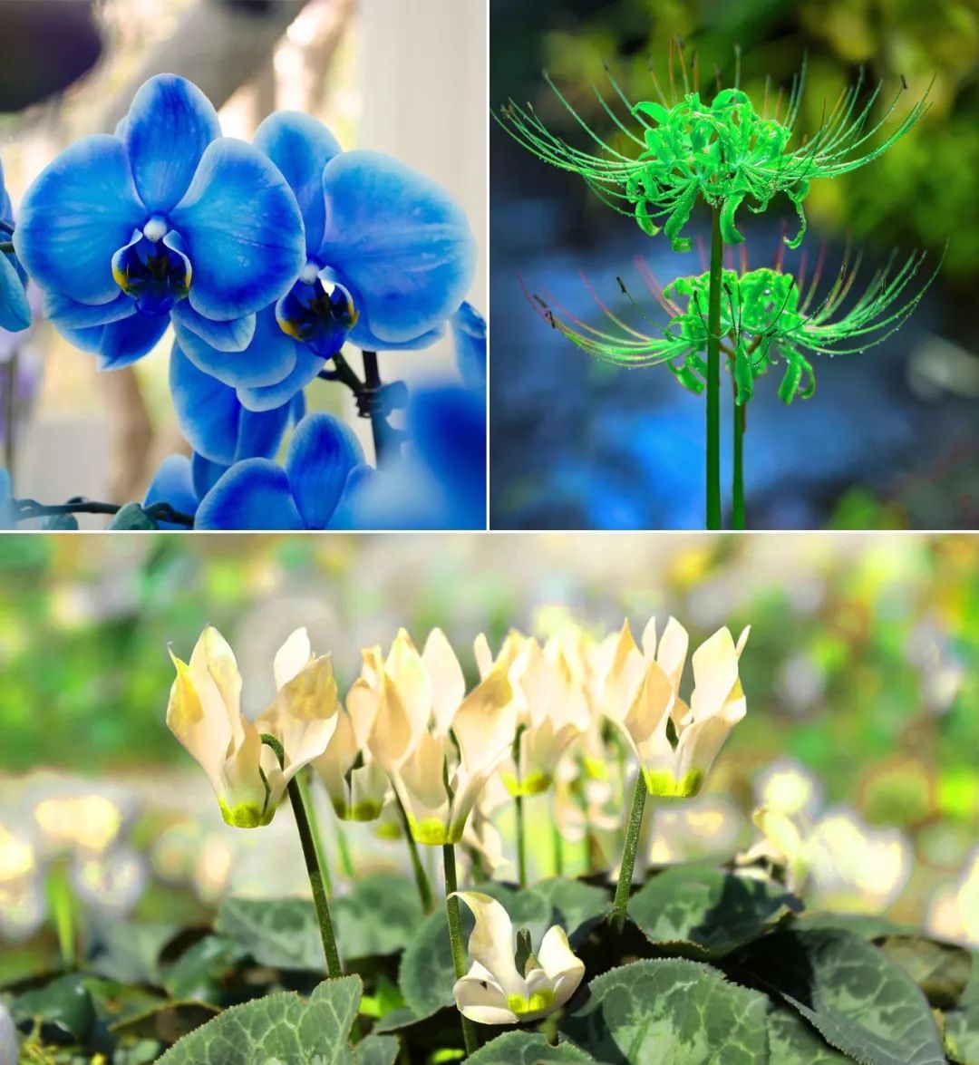 3种方法来辨别真假朋友,三个方面判断骗局