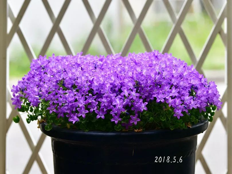 3种方法来辨别真假朋友,三个方面判断骗局