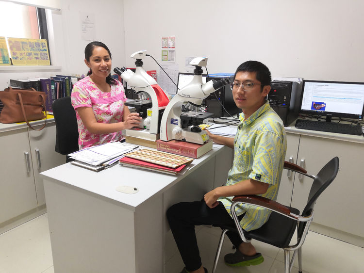 牢记使命因地制宜，吉大二院援萨团队让援外精神扎根萨摩亚