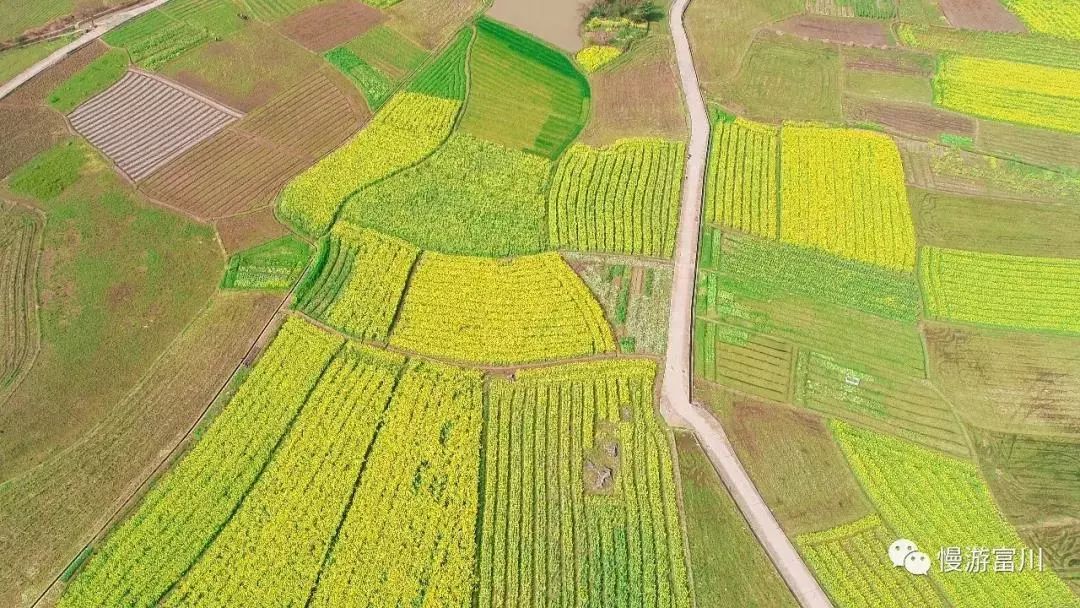 徽派古村梯田花海,徽派建筑油菜花田