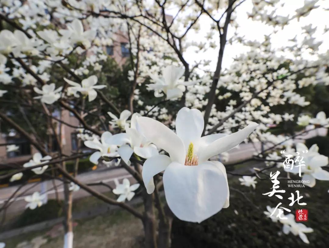 北仑清明游玩,下周北仑旅游景点