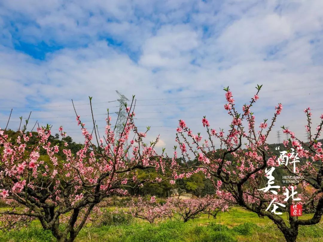 北仑清明游玩,下周北仑旅游景点