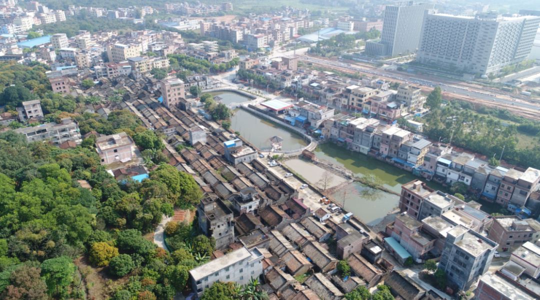 齐心换得满村芳！我区永宁街干群共建和谐美丽家园