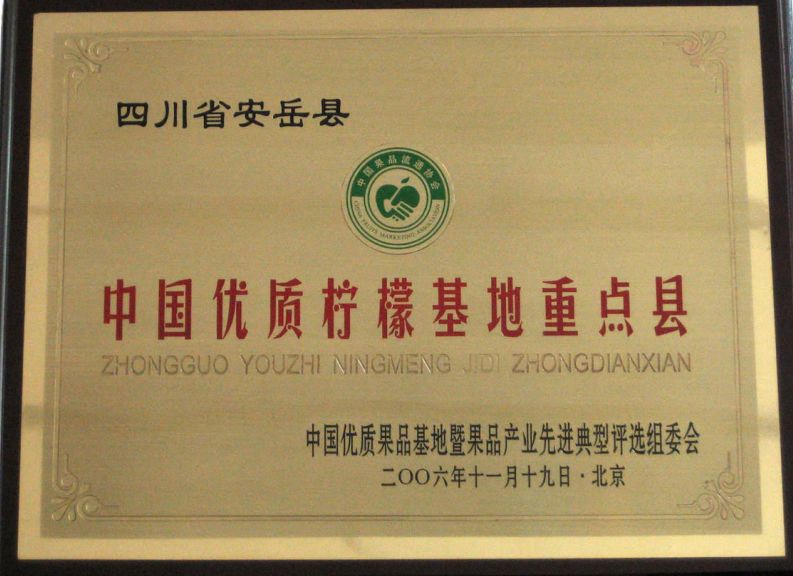 【方志四川•地理标志产品】安岳柠檬