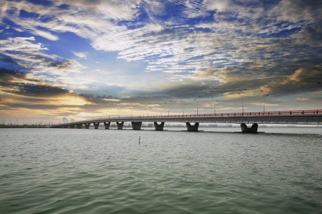 怎样加快绿色转型,如何加快绿色转型升级