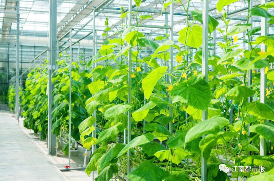 今天上市公司名单,今晚上市公司利好消息