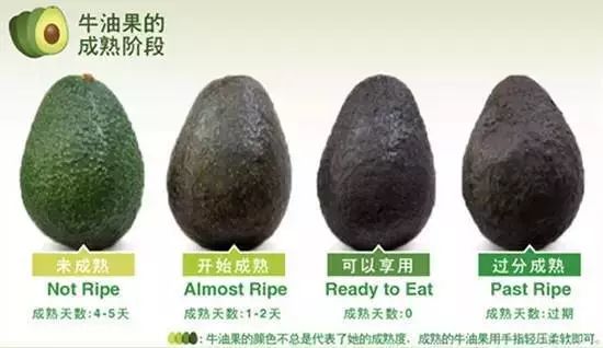 牛油果的世纪大骗局,牛油果骗局被揭开不是健康食品