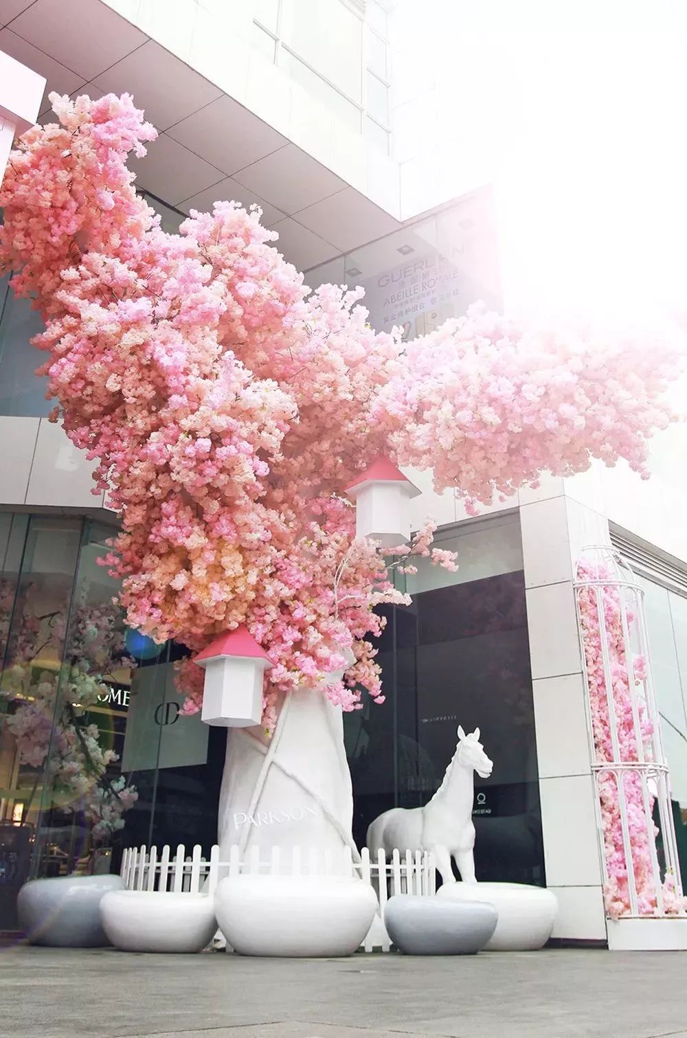 最高79元福利怎么领,福利优惠有多少