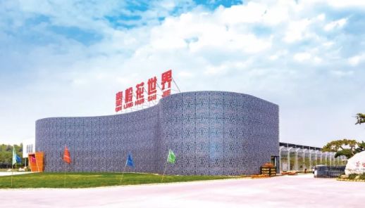 西安最大花卉交易市场,西安朱宏路丰产路巨坤花卉市场