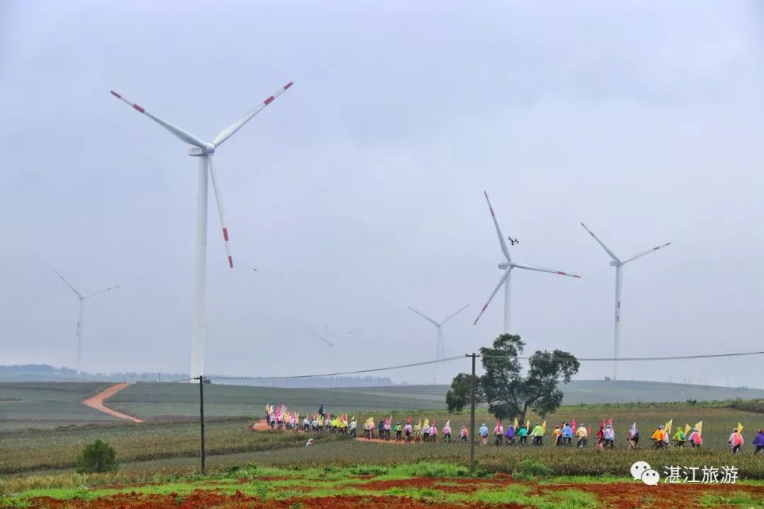 一月份湛江好去处,湛江适合几月份去