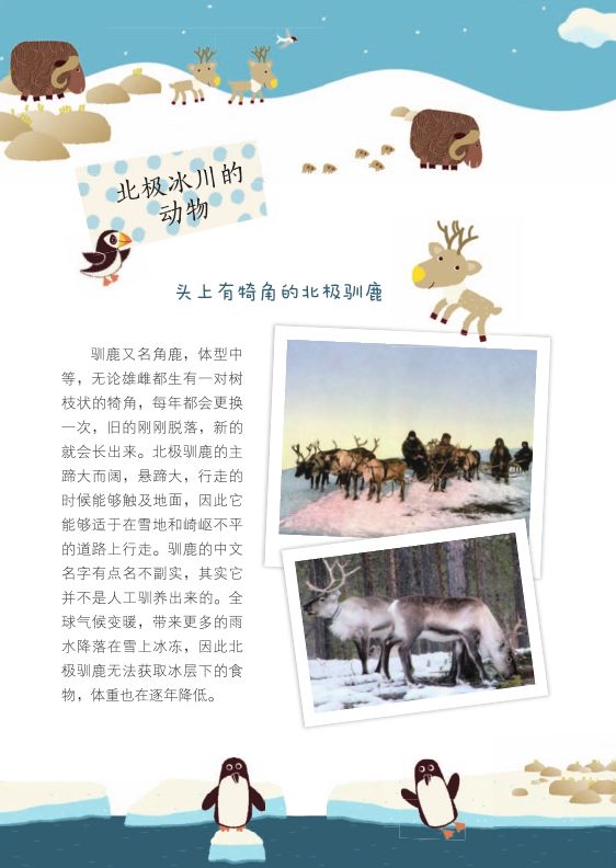 团|这套贴纸涂色书,我专程从中国带到了英国!