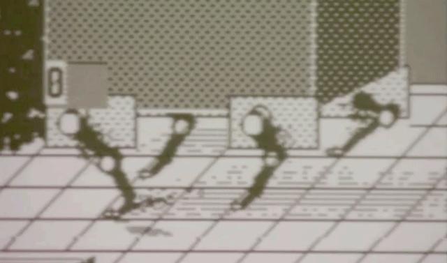 海边，他养了一群吃风的怪兽