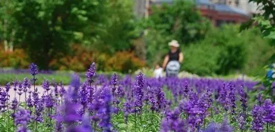 哈尔滨哪里有五人制足球场,哈尔滨足球场