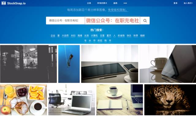 干货八个优质视频素材网站,国外无版权的图片素材网站