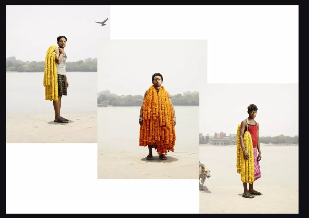 omg买它买它什么梗,omg买它原版