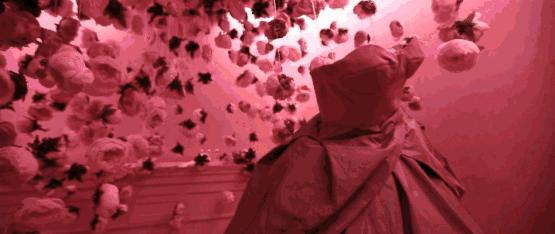 omg买它买它什么梗,omg买它原版