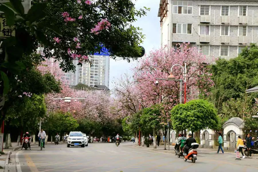 螺蛳粉征服世界,螺蛳粉征服全世界