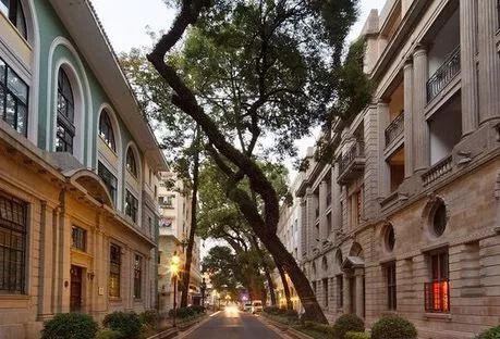 广州适合春游的免费景点,春游广州最适合去的地方