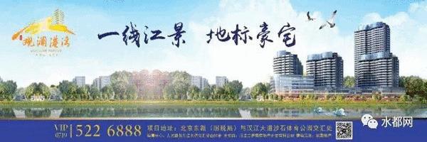 丹江口斗鱼,斗鱼之路丹江口