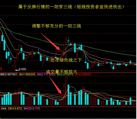 从入门到精通武术,从入门到精通的全面攻略