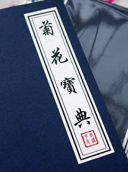 协和名医林国乐,协和林国乐讲座