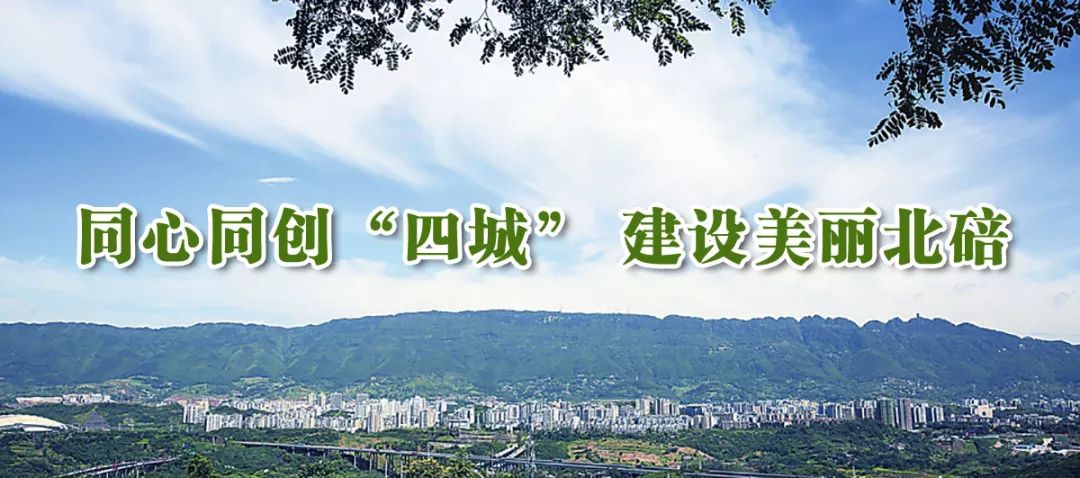 李影女足直播回放,中国女足李影直播间