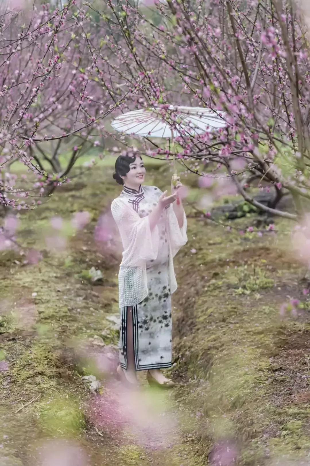 柳州2月花海景点,柳州花海打卡景观