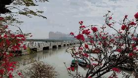 福建泉州洛阳桥属于什么类型,泉州的洛阳桥是什么样子的