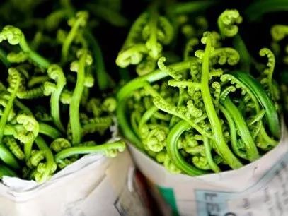 吃了街边买的“青菜”,一家三口急送医!这些菜清明常出没…