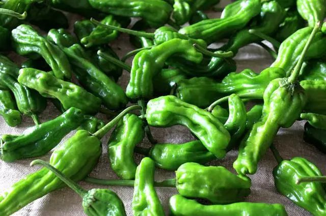 探秘山东的“齐鲁辣城”，有道菜居然能battle过川菜！