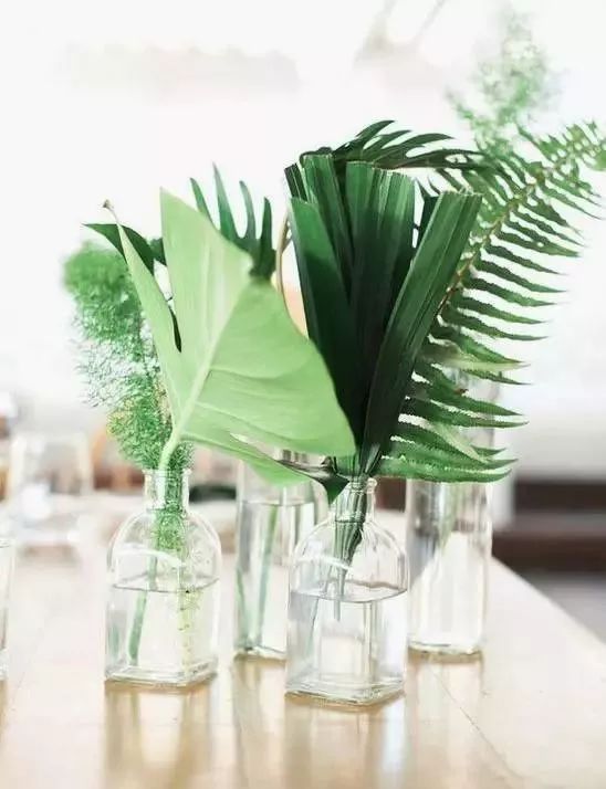 洗衣粉加肥皂蟑螂怎么消灭最彻底,住一楼怎么除蟑螂蚊虫彻底