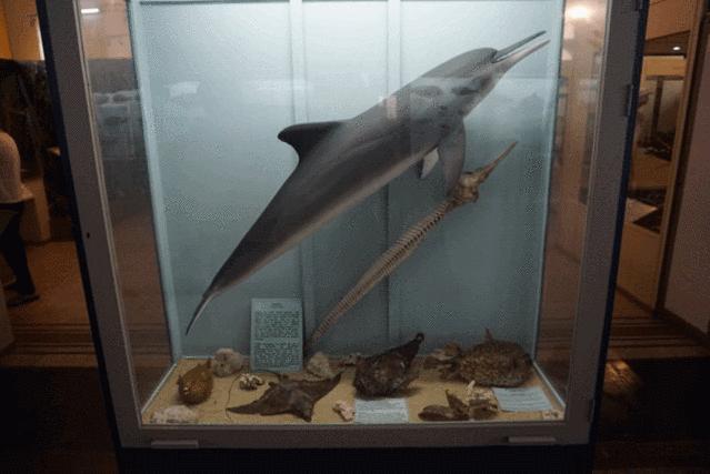 一次玩遍欧洲,毛里求斯环岛