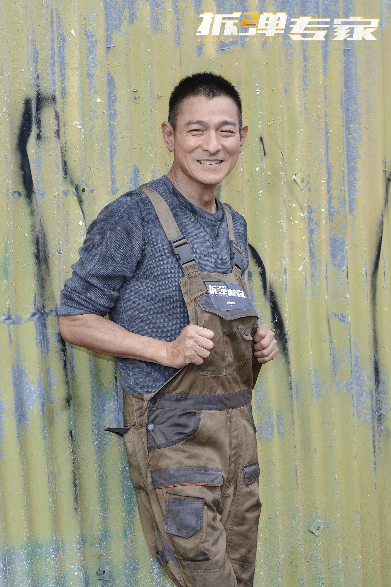 刘德华拆弹专家2提名,刘德华拆弹专家2倪妮