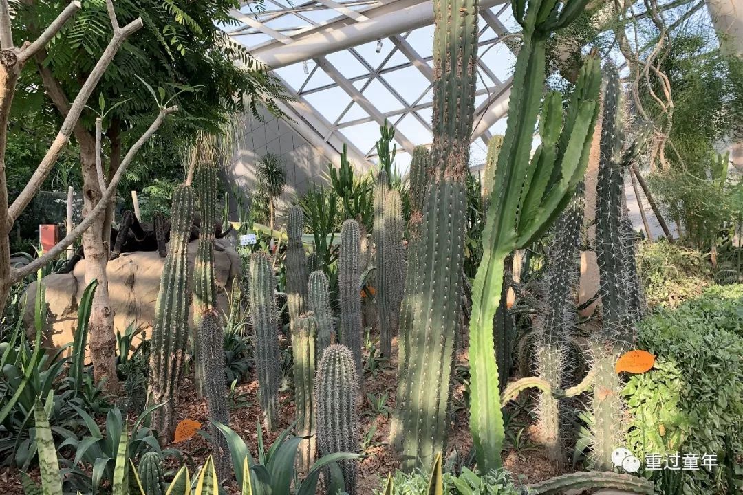 西安一个神奇的公园,西安市最值得去的免费公园景点