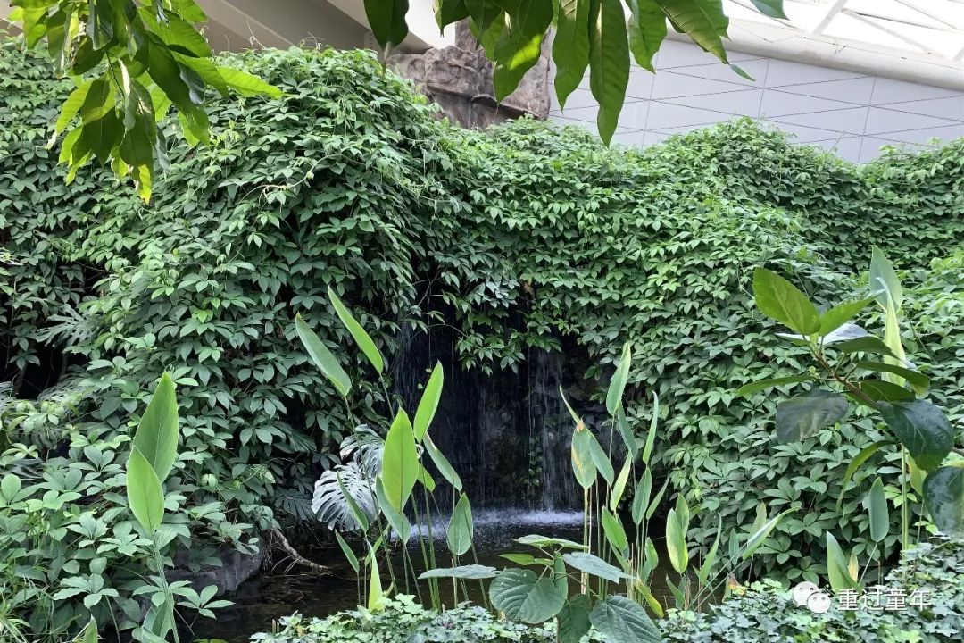 西安一个很有特色的公园,西安十大免费景区公园