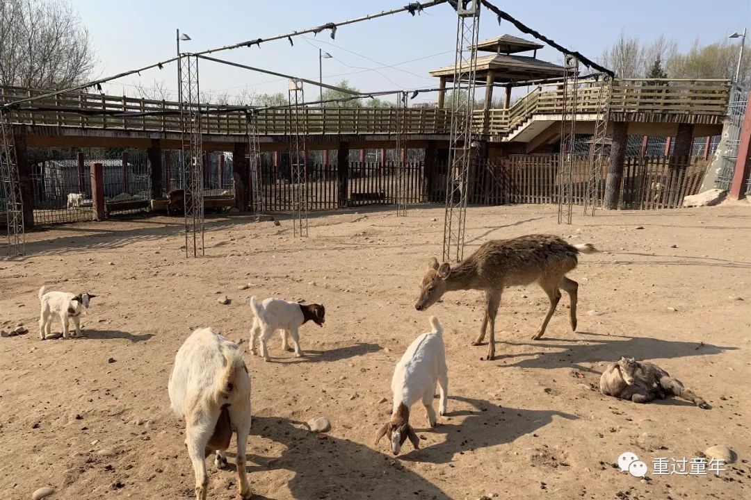 西安一个很有特色的公园,西安唯一要门票的公园