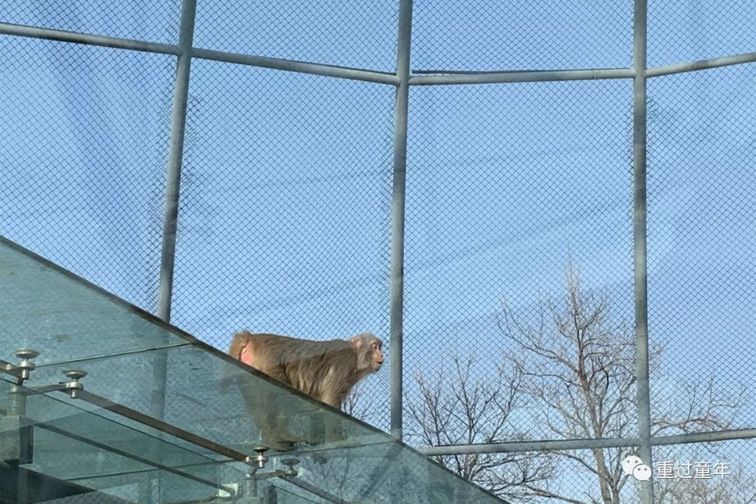 西安一个很有特色的公园,西安唯一要门票的公园